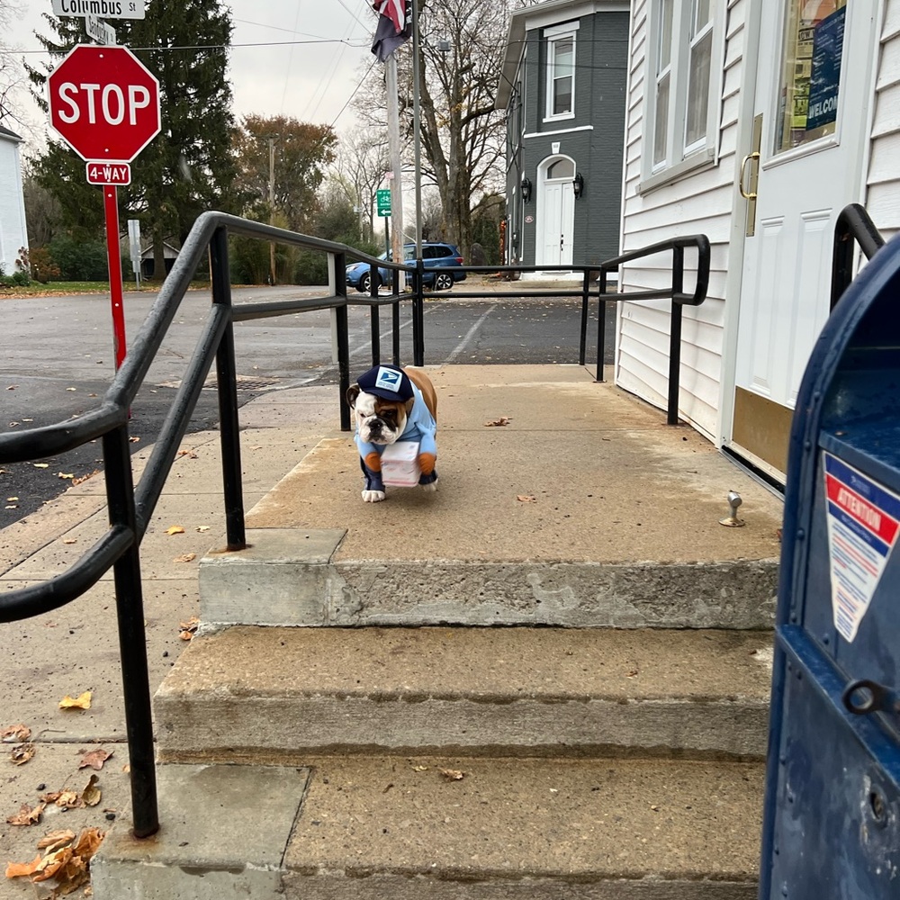 Extra Shipping Label - Picture 10 of 13